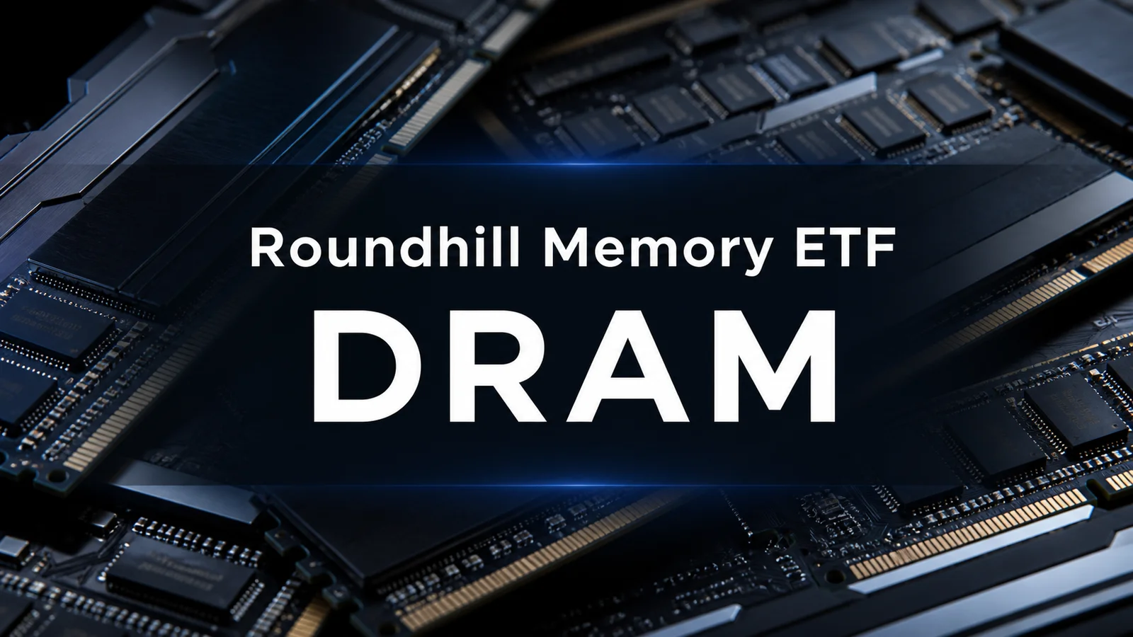 Roundhill Memory ETF holdings, with Samsung Electronics and SK Hynix making up almost half the fund